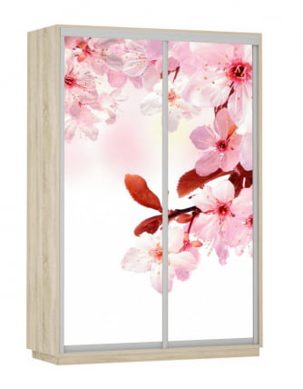 Шкаф-купе двухдверный Экспресс Дуо 1400х2200h Сакура/Дуб сонома_0