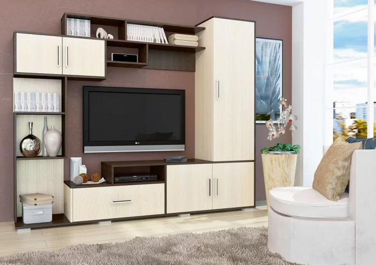 Гостиная Пекин Венге Дуб_0