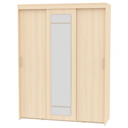 Шкаф-купе T-3-230х175х45-M(ДМ-1)_0