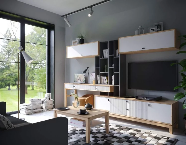 Набор мебели для гостиной Бари №2 Дуб Золотой Оник серый Белый_0