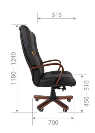 Офисное кресло CHAIRMAN 424ВД, натуральная кожа/экокожа, черный / 424WD,_4