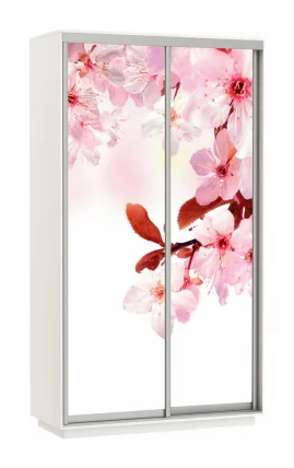 Шкаф-купе двухдверный Экспресс Дуо 1200х2400h Сакура/Белый снег_0