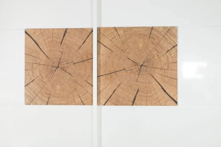 Шкаф трехстворчатый с декоративными накладками Фиджи 002 Дуб Золотой Белый_3