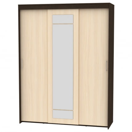 Шкаф-купе T-3-230х175х45-M(Венге-ДМ-1)_0