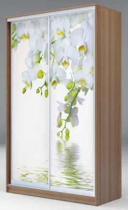 Шкаф-купе Хит-24-12-77 Орхидея Ясень шимо темный_0