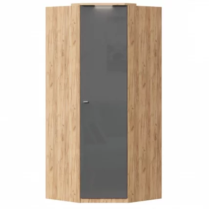 Шкаф угловой Фиджи ЛД 659.244.000 Дуб Золотой Антрацит_0