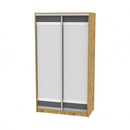 Шкаф-купе B-230х120х60-3(ДВ-Графит-D10D10)_0