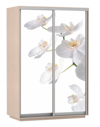 Шкаф-купе двухдверный Экспресс Дуо 1400х2200h Белая орхидея/Дуб молочный_0