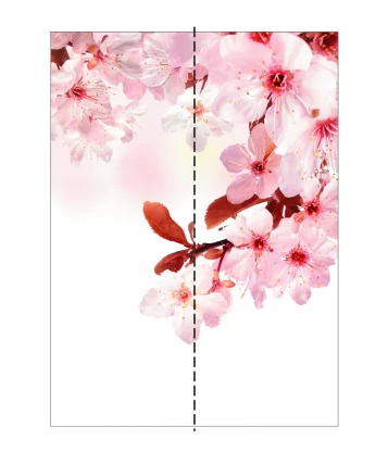 Шкаф-купе двухдверный Экспресс Дуо 1200х2400h Сакура/Дуб сонома_2