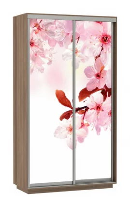 Шкаф-купе двухдверный Экспресс Дуо 1200х2200h Сакура/Ясень шимо тёмный_0