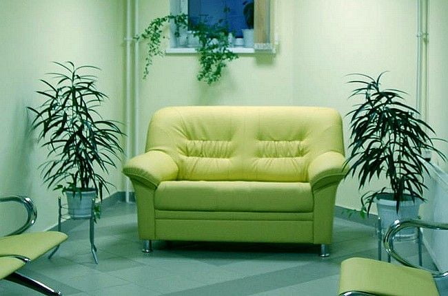 Диван Карелия 2х местный (Терра 102)_2