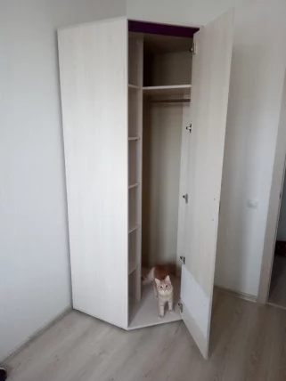 Шкаф для одежды угловой (правый) Мегаполис 55.03 Сосна Астрид_14