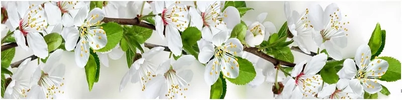 Глянцевый фартук (МДФ) AG 05_0