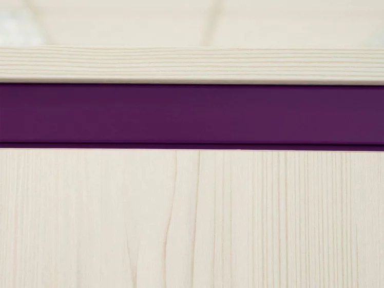 Шкаф для одежды Мегаполис 55.01.1 Сосна Астрид_3