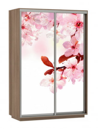 Шкаф-купе двухдверный Экспресс Дуо 1400х2200h Сакура/Ясень шимо тёмный_0