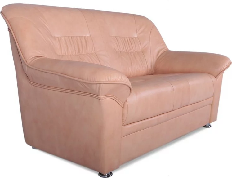 Диван Карелия 2х местный (Терра 113)_1