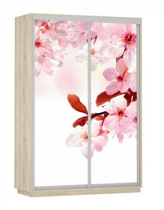 Шкаф-купе двухдверный Экспресс Дуо 1600х2400h Сакура/Дуб сонома_0