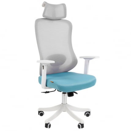 Кресло руководителя CHAIRMAN CH563 Белый/бирюзовый_0