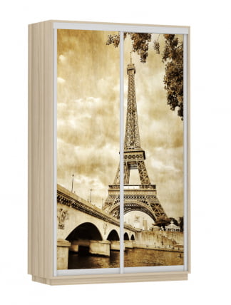 Шкаф-купе двухдверный Экспресс Дуо 1200х2400h Париж/Ясень шимо светлый_0