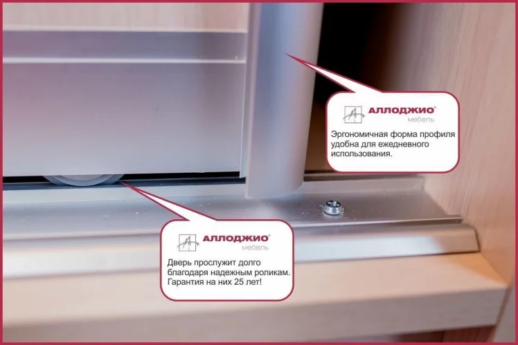 Шкаф-купе Хит-24-17-15 Аруба Венге_8