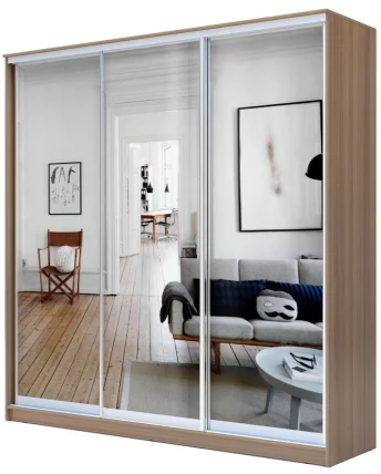 Шкаф-купе Хит-23-20-555 Ясень шимо темный_0