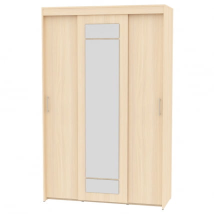 Шкаф-купе T-3-230х145х60-M(ДМ-9)_0