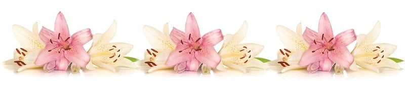 Глянцевый фартук (КОМПОЗИТ) KM 236_0