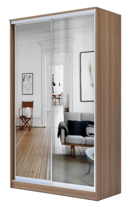 Шкаф-купе Хит-24-12-55 Ясень шимо темный_0