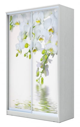 Шкаф-купе Хит-23-17-77 Орхидея Белая шагрень_0