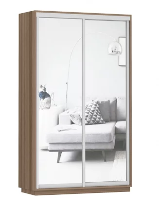 Шкаф-купе двухдверный Экспресс Дуо Экспенс 1200х2400h Ясень шимо тёмный_0