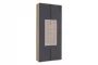 Шкаф двухстворчатый Фиджи ЛД 659.310.000 Дуб золотой Антрацит_172616